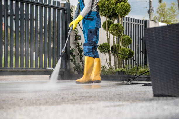 Animal Enclosure Cleaning in Bagdad, AZ